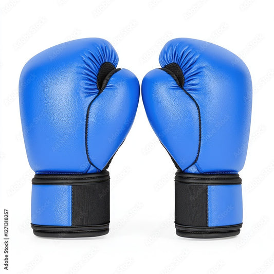 Gym Gloves (Pair)